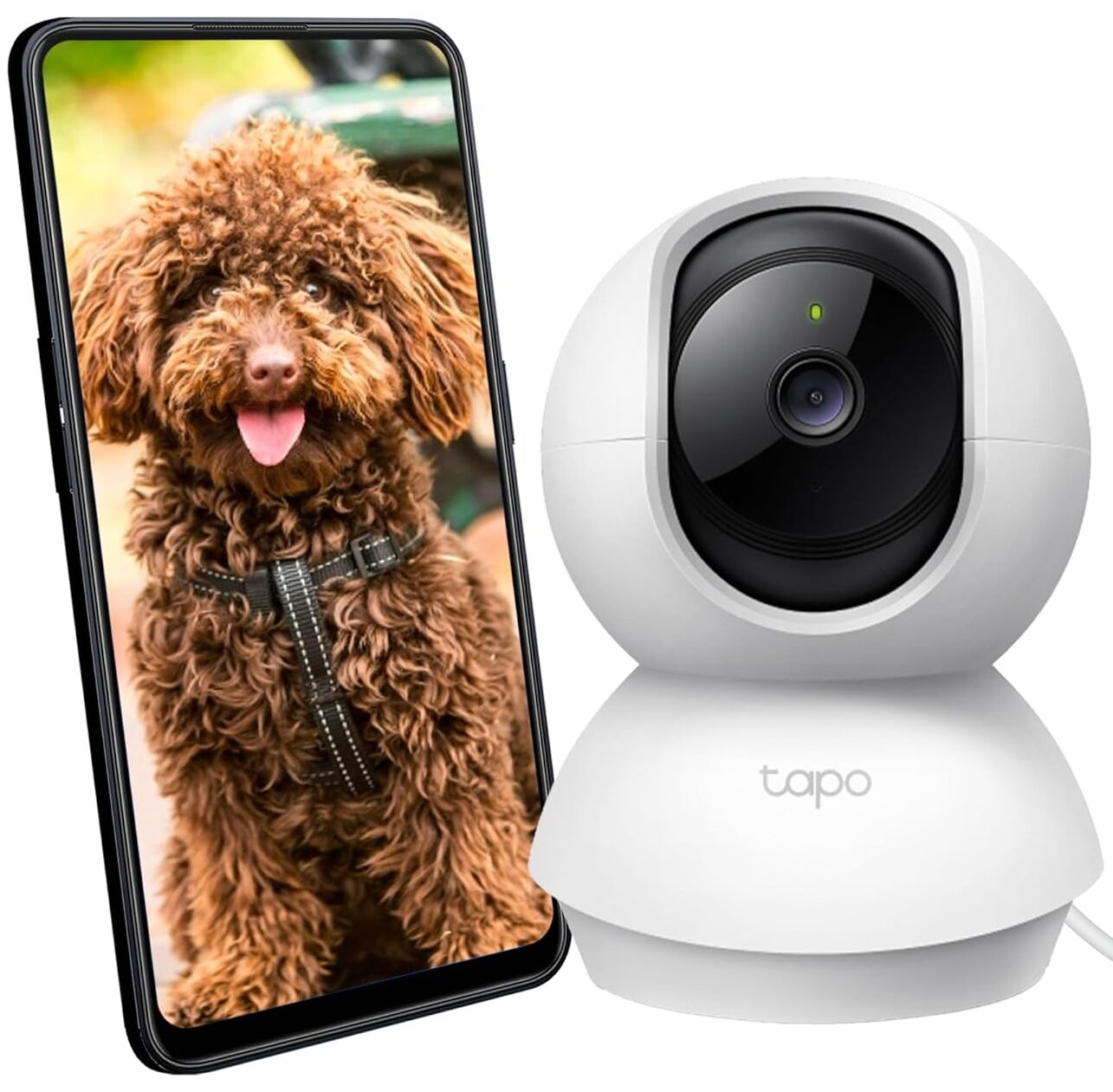 Tapo TP-Link C200 360° 2MP 1080p Full HD Pan/Tilt Home Security Wi-Fi Smart Camera| Alexa Enabled| 2-Way Audio| Night Vision| Motion Detection| Sound and Light Alarm| Indoor CCTV White