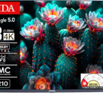 ONIDA Nex G 108 cm (43 inch) Ultra HD (4K) LED Smart Google TV