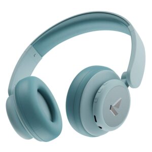 Boat Rockerz 450 Pro Bluetooth Wireless On Ear Headphones with Mic with 70 Hours Battery, 40Mm Drivers, Bluetooth V5.0 Padded Ear Cushions, Easy Access Controls and Voice Assistant(Aqua Blue)